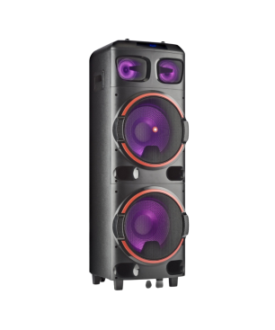 NGS WILDDUB2 Tragbarer Lautsprecher Speaker, Schwarz