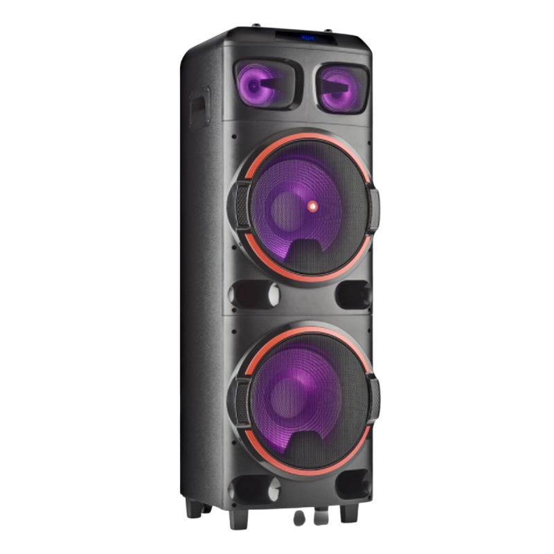 NGS WILDDUB2 Tragbarer Lautsprecher Speaker, Schwarz