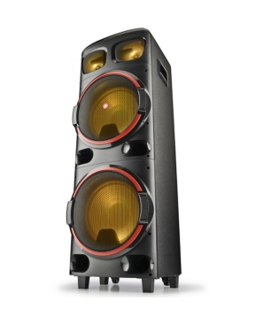 NGS WILDDUB2 Tragbarer Lautsprecher Speaker, Schwarz
