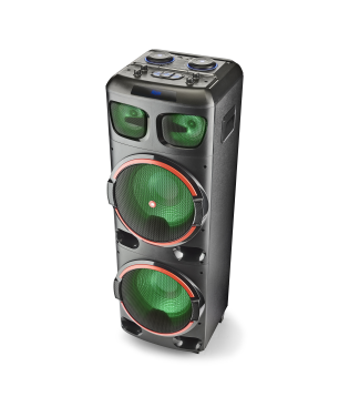 NGS WILDDUB2 Tragbarer Lautsprecher Speaker, Schwarz
