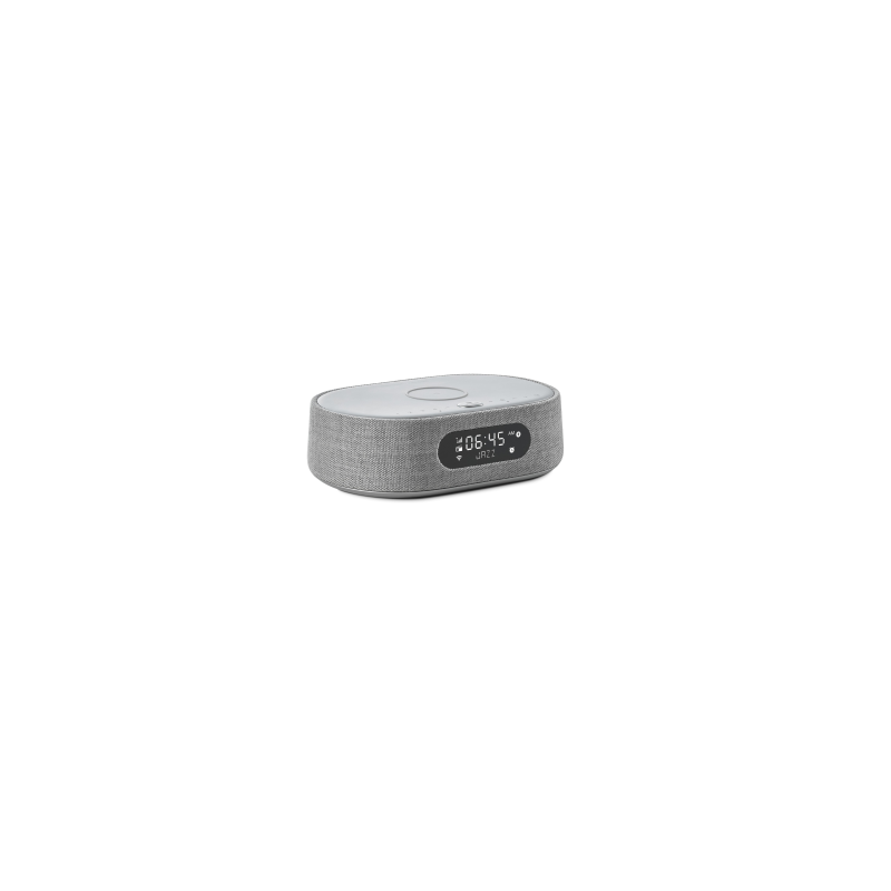 HARMAN KARDON Citation Oasis Lautsprecher App-steuerbar, Bluetooth, Grau