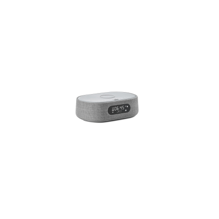 HARMAN KARDON Citation Oasis Lautsprecher App-steuerbar, Bluetooth, Grau
