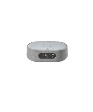 HARMAN KARDON Citation Oasis Lautsprecher App-steuerbar, Bluetooth, Grau