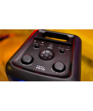 PEAQ PPS200 Partybox, Schwarz