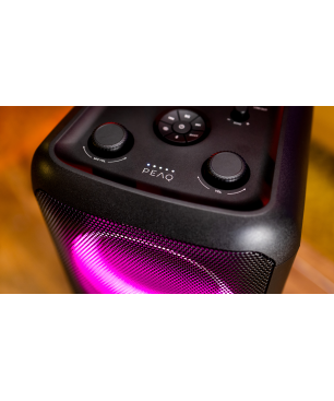 PEAQ PPS200 Partybox, Schwarz