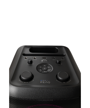 PEAQ PPS200 Partybox, Schwarz