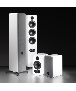 NUBERT nuPro SP-500 HiFi-Lautsprecher, Eisgrau