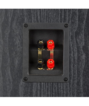 AUNA V7B Standlautsprecher, Schwarz