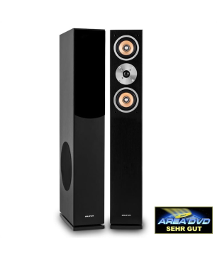 AUNA Linie 501 FS BK Standlautsprecher, Schwarz