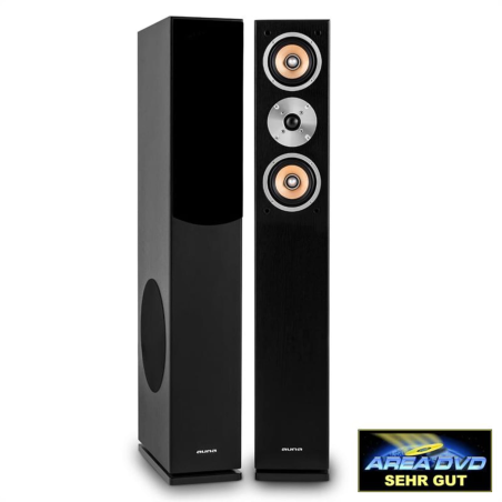 AUNA Linie 501 FS BK Standlautsprecher, Schwarz