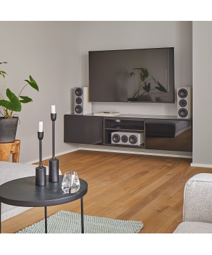 NUBERT nuBoxx B-50​ Center Lautsprecher, Eisgrau