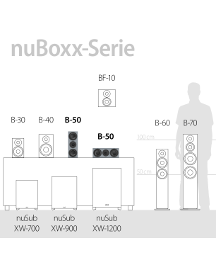 NUBERT nuBoxx B-50​ Center Lautsprecher, Eisgrau