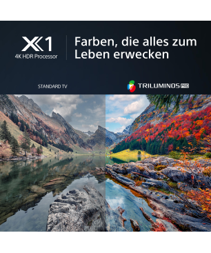 SONY BRAVIA KD-85X80L LED LED TV (Flat, 85 Zoll / 215 cm, UHD 4K, SMART TV, Google TV)