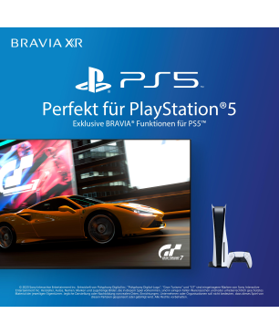 SONY BRAVIA XR-55A95L OLED TV (Flat, 55 Zoll / 139 cm, QLED 4K, SMART TV, Google TV)