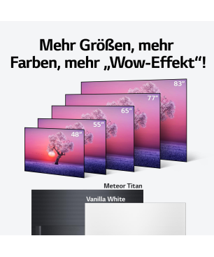 LG OLED65C17LB OLED TV (Flat, 65 Zoll / 164 cm, UHD 4K, SMART TV, webOS 6.0 mit LG ThinQ)