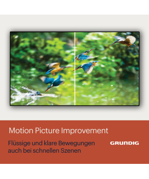 GRUNDIG 65 GOB 9380 OLED TV (65 Zoll / 161 cm, UHD 4K, SMART TV, Ambilight, Android 11)