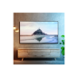 PANASONIC TX-42LZW984 OLED-TV (Flat, 42 Zoll / 106 cm, OLED 4K, SMART TV)