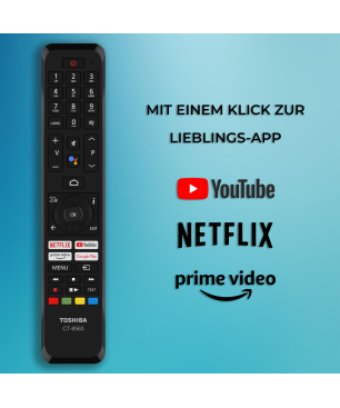 TOSHIBA 65QA5D63DG/2 QLED TV (Flat, 65 Zoll / 164 cm, UHD 4K)