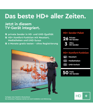 JVC LT-65VU8156 LED TV (Flat, 65 Zoll / 164 cm, UHD 4K)