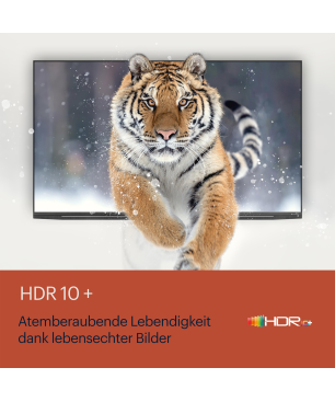 GRUNDIG 43 GUB 7340 LED TV (Flat, 43 Zoll / 108 cm, HDR 4K, SMART TV, Google TV)