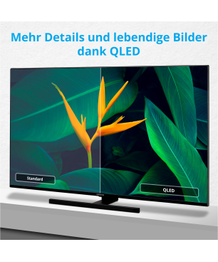 MEDION LIFE® X15040 Fernseher (Flat, 49,5 Zoll / 125,7 cm, HD)