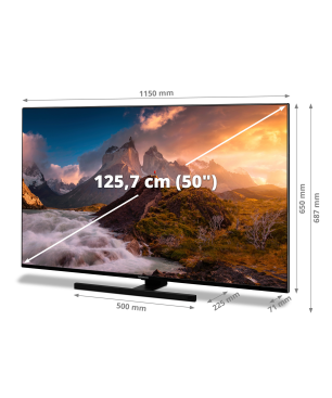 MEDION LIFE® X15040 Fernseher (Flat, 49,5 Zoll / 125,7 cm, HD)
