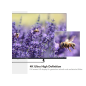 SMART TECH 43 Zoll Smart TV 43UA20V3 LED TV (Flat, 43 Zoll / 109 cm, UHD 4K, SMART TV, Android 11.0) SMART TECH 43 Zoll Smart TV 43UA20V3 LED TV (Flat, 43 Zoll / 109 cm, UHD 4K, SMART TV, Android 11.0)