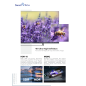 SMART TECH 50 Zoll Smart TV 50UA20V3 Fernseher (Flat, 50 Zoll / 126 cm, UHD 4K, SMART TV, android 11.0)