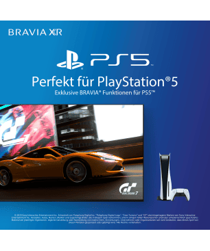 SONY BRAVIA XR-75X90L LED TV (Flat, 75 Zoll / 189 cm, UHD 4K, SMART TV, Google TV)