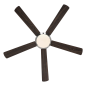 CASAFAN Titanium Deckenventilator Nussbaum (80 Watt)