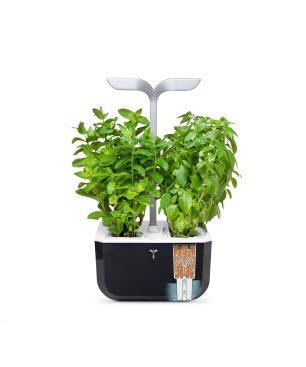 VERITABLE Exky SMART Indoor inkl. 2 Packs Saatgut Kräutergarten-Set, Lieferumfang	Gerät, Saatgüter, Netzteil, Handbuch