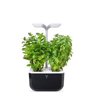 VERITABLE Exky SMART Indoor inkl. 2 Packs Saatgut Kräutergarten-Set, Lieferumfang	Gerät, Saatgüter, Netzteil, Handbuch