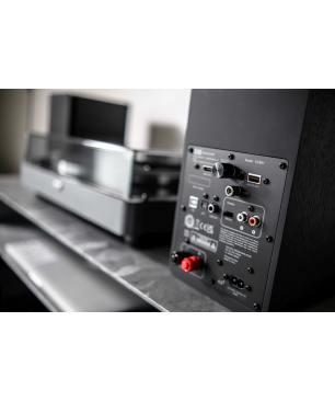 ELAC Debut Connex DCB41 Lautsprecher, Schwarz Dekor)