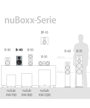 NUBERT nuBoxx B-40 Regallautsprecher Regallautsprecher, Eisgrau