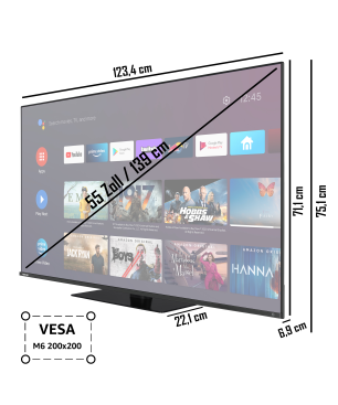 TOSHIBA 55QA7D63DG QLED TV (Flat, 55 Zoll / 139 cm, UHD 4K)