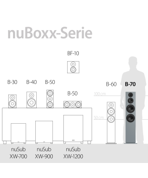 NUBERT nuBoxx B-70 Standlautsprecher Standlautsprecher, Eisgrau