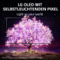 LG OLED 65 G 19 LA.AEU OLED TV (Flat, 65 Zoll / 164 cm, UHD 4K, SMART TV, webOS 6.0 mit LG ThinQ)
