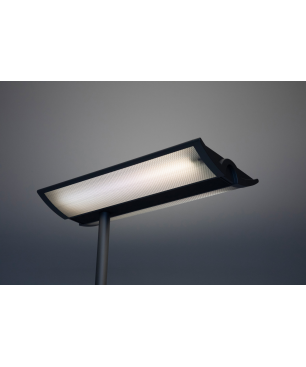 MAUL MAULmaioris Stehleuchte, Aluminium