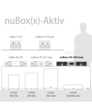 NUBERT nuBoxx AS-425 max Soundbar aktiv | Soundplate, Hellgrau