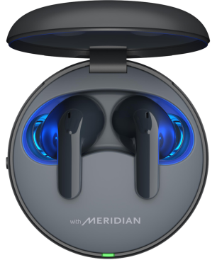 LG TONE Free DT90Q, In-ear Kopfhörer Bluetooth