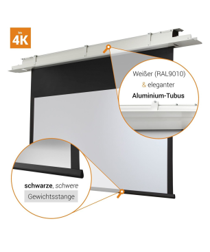 CELEXON Deckeneinbau Expert Deckeneinbauleinwand, Bildbreite: 300 cm