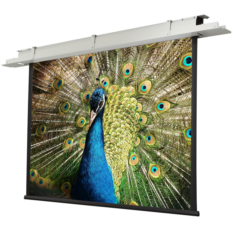 CELEXON Motor Expert Deckeneinbauleinwand, Bildbreite: 250 cm