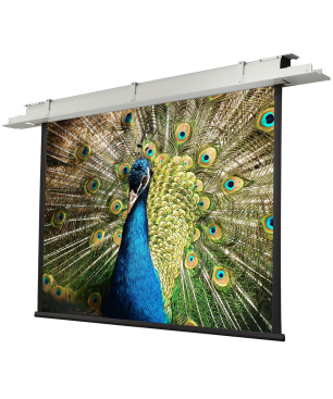 CELEXON Motor Expert Deckeneinbauleinwand, Bildbreite: 180 cm