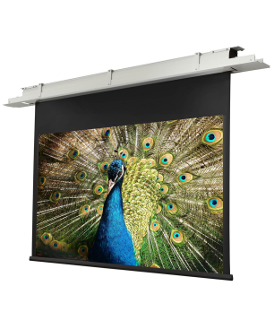 CELEXON Motor Expert Deckeneinbauleinwand, Bildbreite: 300 cm