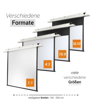 CELEXON Motor Expert Deckeneinbauleinwand, Bildbreite: 300 cm