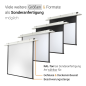 CELEXON Motor Expert Deckeneinbauleinwand, Bildbreite: 300 cm