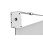 CELEXON Expert Motorleinwand? Bildbreite: 250 cm