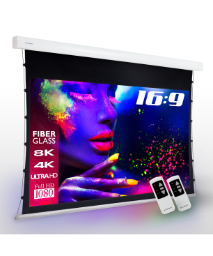 ESMART Expert XTS 266 x 149 cm (120") 16:9 GRAU Tension-Leinwand
