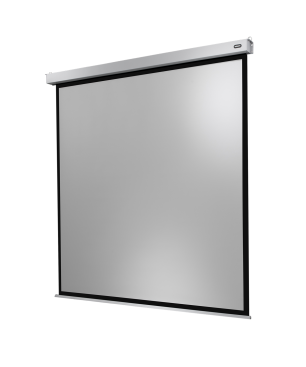 CELEXON Professional Plus Motorleinwand, Bildbreite: 280 cm