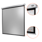 CELEXON Professional Plus Motorleinwand, Bildbreite: 280 cm